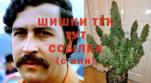 spice Надым