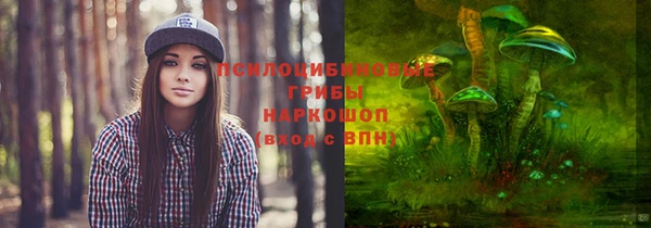 ECSTASY Навашино